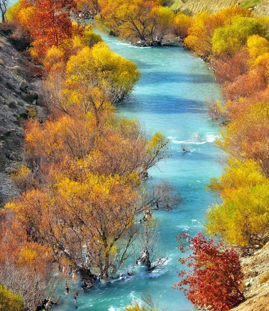 رودخانه‌های ایران؛ شریان اصلی حیات