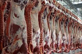 عقد قرارداد 40 هزار رأس دام با عشایر ایلامی برای تولید گوشت قرمز