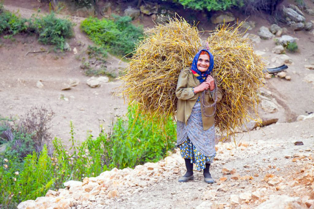زنان روستایی و عشایری نقش محوری در تولید دارند