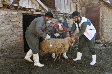 حضور دامپزشکان همدانی در 134 اردوی جهادی