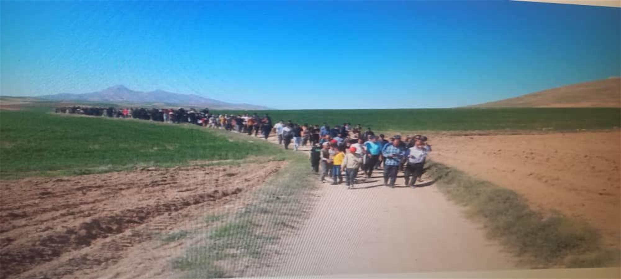 هرسال همایش پیاده‌روی خانوادگی داریم