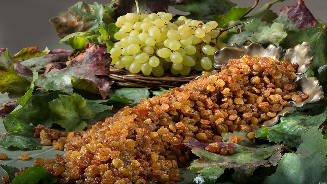 کاهش شدید ظرفیت صادرات کشمش ملایر به‌دلیل سرمازدگی گسترده