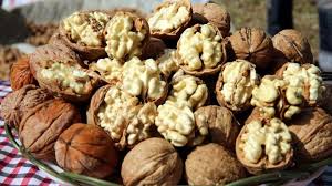 ثبت جهانی کافی نیست؛ آینده گردوی تویسرکان در گرو اصلاح باغات و مدیریت اقلیمی است