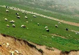 مراتع ایران ۲۰ میلیارد مترمکعب آب را ذخیره می‌کند