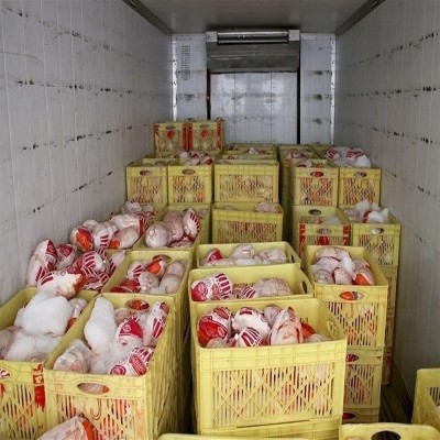 صادرات 4000 تُن انواع فرآورده‌های دامی از همدان