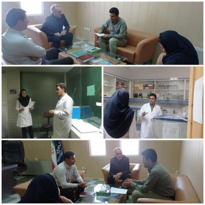 90 درصد زیرساخت‌ها برای راه‌اندازی مرکز منطقه‌ای بیماری «زبان آبی» در ایلام فراهم است