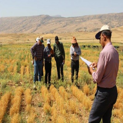 الگوهای کشت جدید، زمینه‌ساز افزایش تولید و کاهش آسیب‌پذیری کشاورزی