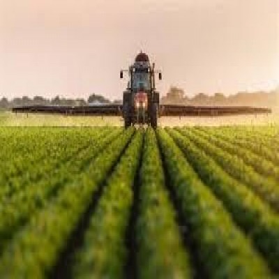 چرا پس از 3 دهه هنوز کشت قراردادی در کشور اجرایی نشده است؟