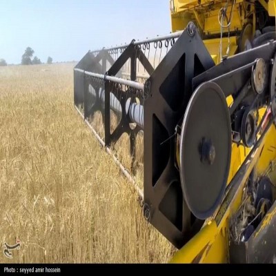 خرید تضمینی گندم در شهرستان کرمانشاه از مرز 57 هزار تن گذشت