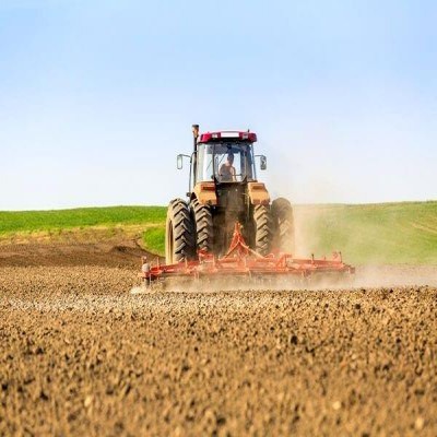 کردستان در مسیر خودکفایی کشاورزی؛ جهش تولید گندم و تنوع‌بخشی به کشت