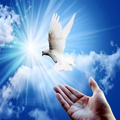 165 زندانی همدانی طعم آزادی را چشیدند