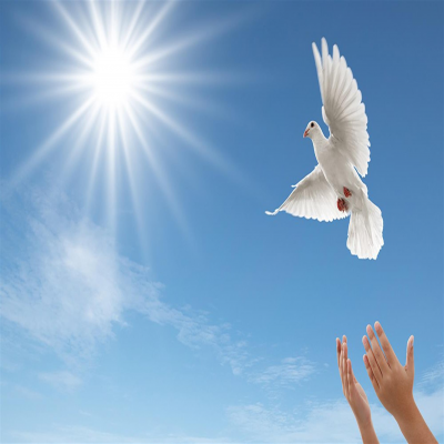 آزادی 148 زندانی از ابتدای سال در همدان