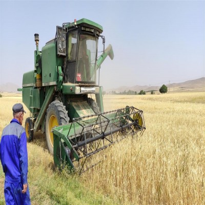 خرید تضمینی گندم به ارزش 65 هزار میلیارد ریال از کشاورزان همدانی