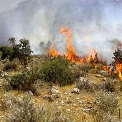 ابهام در علت حادثه آتش‌سوزی آبیدر