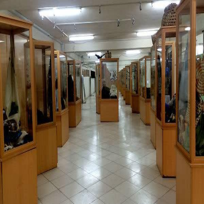 موزه تاریخ طبیعی دانشگاه آزاد همدان به مجتمع غار علیصدر منتقل می‌شود