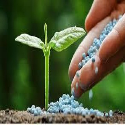 تأمین و توزیع بیش از 45 هزار تُن کود یارانه‌ای در استان همدان از ابتدای سال جاری