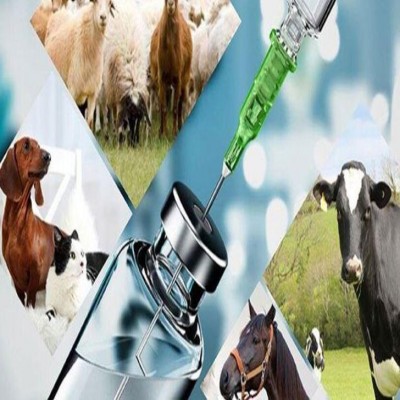 سه میلیون راس دام استان مرکزی علیه بیماری‌های مختلف ایمن شدند