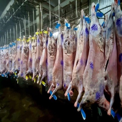 وضعیت کشتارگاه ایلام باید هرچه سریع‌تر روشن شود