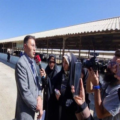 همدان، قطب تولید شیر و گوشت کشور