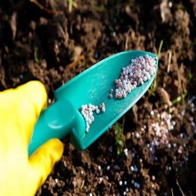 تحقق 56 درصدی برنامه‌های تأمین و توزیع کودهای کشاورزی