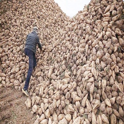 پروژه کارخانه قند مهرگان نهاوند همچنان در بن‌بست