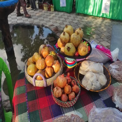 چهارمین جشنواره ملی انار ساوه با رنگ‌وبوی اقوام ایرانی برگزار می‌شود