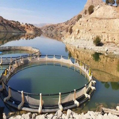 برنامه‌ریزی برای تولید 4 هزار تن ماهی در سد سیمره ایلام انجام شد