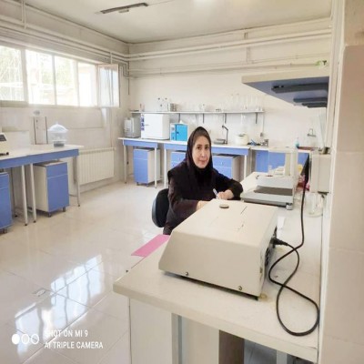 زنان، محور مدیریت اقتصادی خانواده و توسعه پایدار