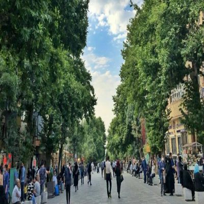 آغاز تحقیقات علمی برای نجات درختان در همدان