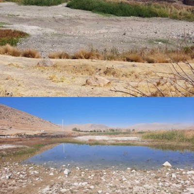 صدای جوشش چشمه‌ها در تالاب پیرسلمان دوباره شنیده شد