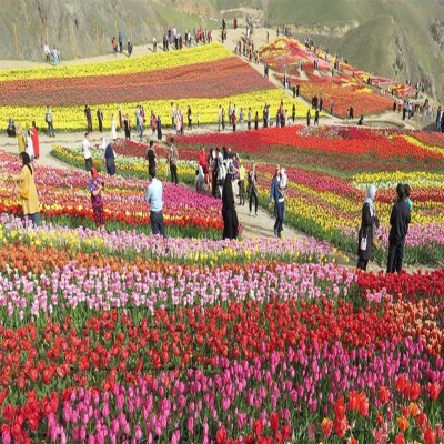 «اطلس گونه‌های گردشگری ایران»؛ پیش‌نیاز ورود ایران به نقشه گردشگری خلاق