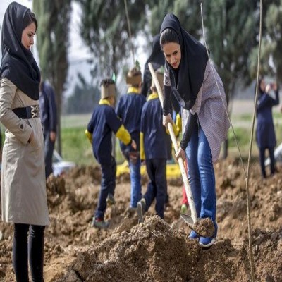 2000 نهال به نام و یاد مادران همدانی غرس می‌شود