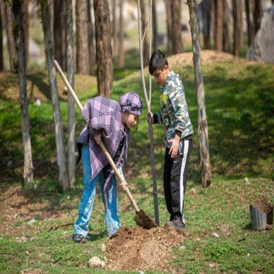 طرح «محیط‌یار»، گامی در مسیر آموزش محیط‌ زیست