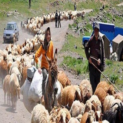 اختصاص 32 میلیارد تومان تسهیلات به جامعه عشایری همدان