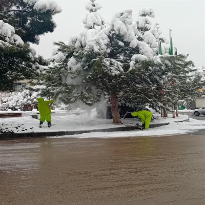 اقدامات واحد فضای سبز سازمان سیما، منظر و فضای سبز شهرداری همدان