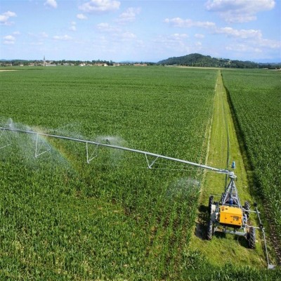 بهار کشاورزی در زمستان ایلام؛ افتتاح 48 طرح با 9 هزار فرصت شغلی