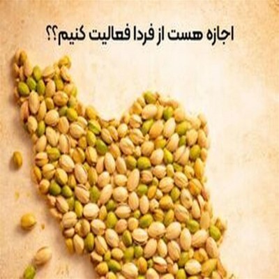 اینستاگرام؛ صحنه خشم یا پناهگاه معیشت؟