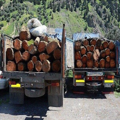 حمل چوب مستلزم اخذ مجوز الکترونیکی قطع و حمل است