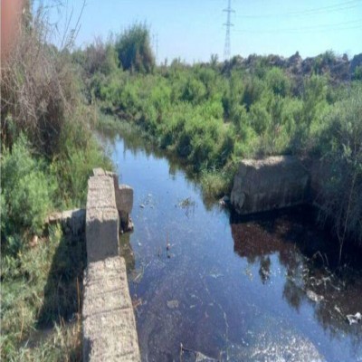 هشدار دادستان دشت‌ آزادگان نسبت به نواقص زیست‌محیطی کشتارگاه سوسنگرد