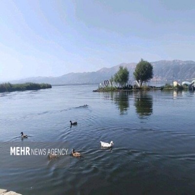 تنوع زیستی تالاب زریبار در نشست تخصصی دانشگاه کردستان بررسی می‌شود