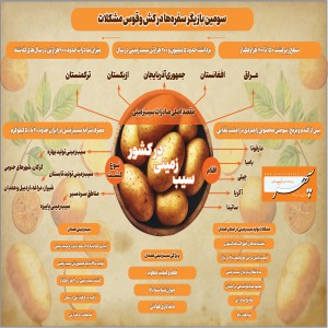 سیب‌زمینی سومین بازیگر سفره‌ها در کش و قوس مشکلات