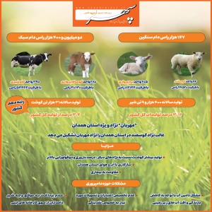 اینفوگرافیک/همدان دارای رتبه دهم تولید گوشت قرمز در کشور